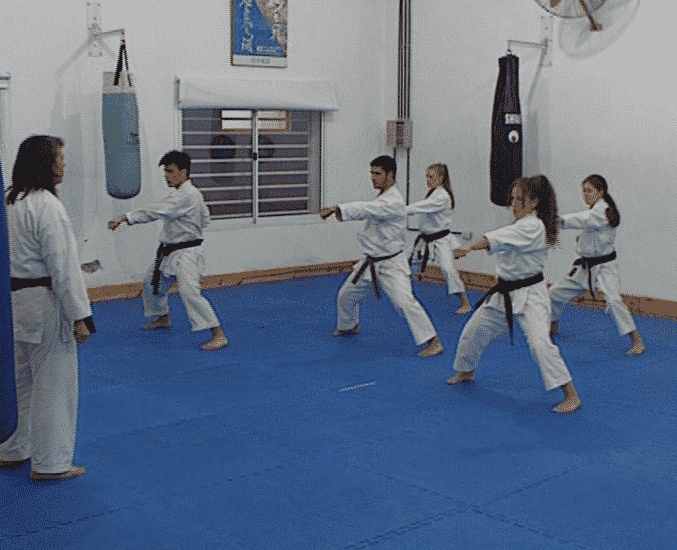 Karatecas de Selección