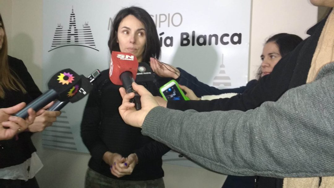 Sacarán 250 árboles que están secos