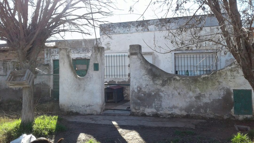 Dos Pitbull atacaron a una beba