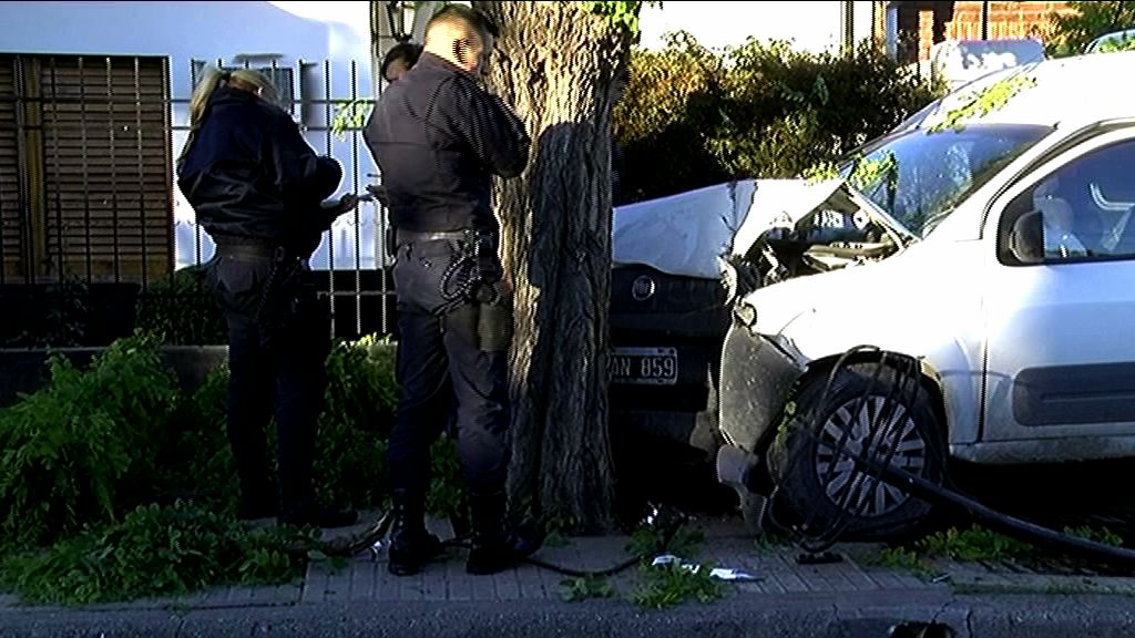 Arrasó con todo y se incrustó contra un árbol