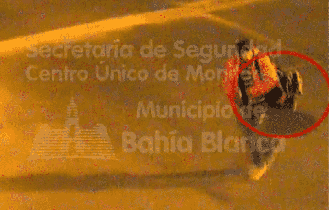 Gracias a las cámaras de seguridad lograron detener a 6 personas que habían saqueado un comercio de computación