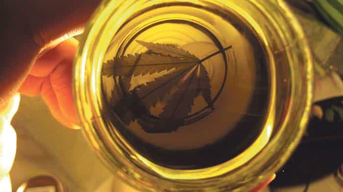 Es ley el uso del cannabis medicinal: la palabra de un neurólogo