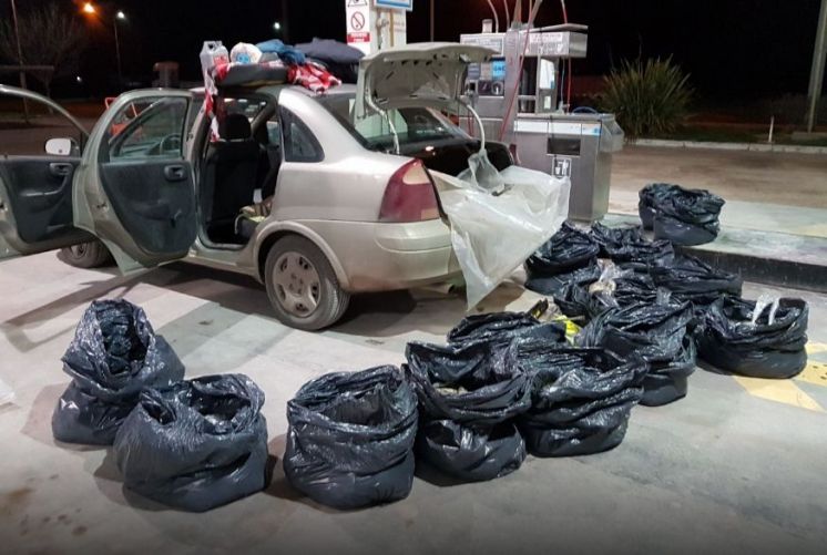 Decomisan mas de 300 kg de ostras por una valor de $350.000