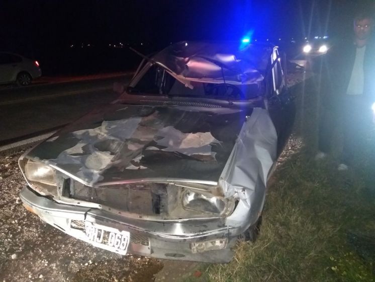 Una familia sufrió heridas al chocar un caballo