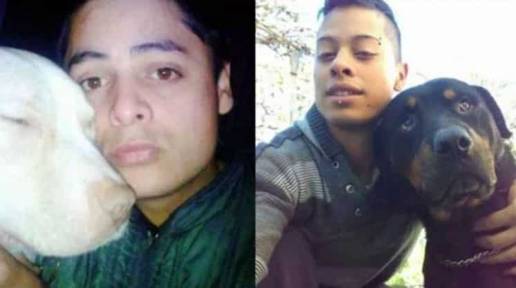 Los perros de los Benítez