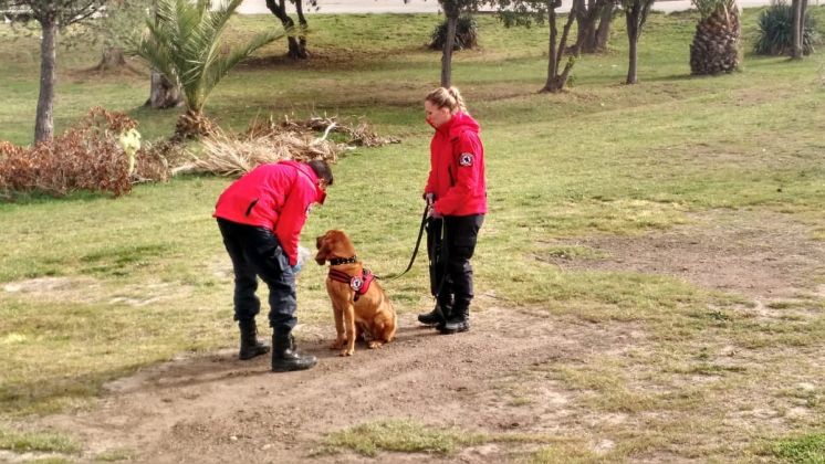 Perros del K9 buscan a un abuelo desaparecido en Viedma