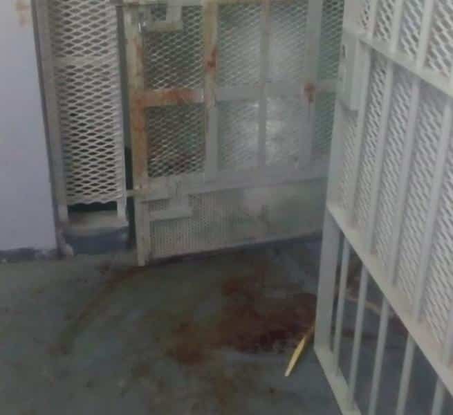 “La fuga en el ex Valentín Vergara se podría haber evitado”