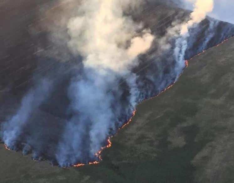 20 mil hectáreas afectadas por el incendio de las Sierras de Pringles