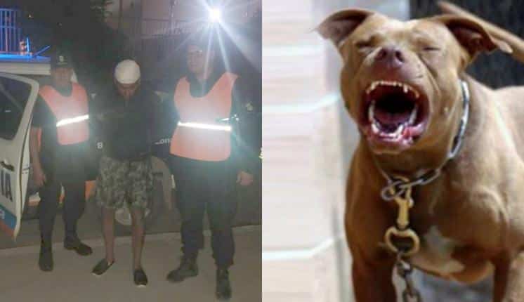 Su propio perro lo mordió mientras escapaba de la policía, fue detenido