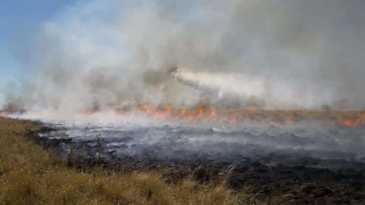 Incendio en “El Indio” en Tornquist