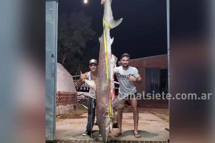 La crueldad contra un tiburón en la ría bahiense