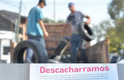 descacharrizacion