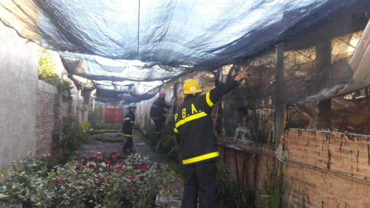Se incendió un vivero en el barrio Los Almendros