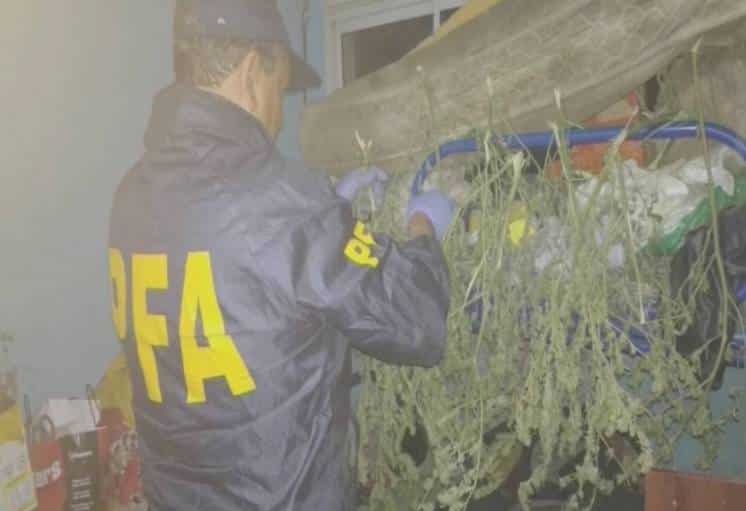 Operativo anti narco