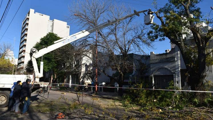Trabajos de poda en Güemes al 1200 y Caronti al 500