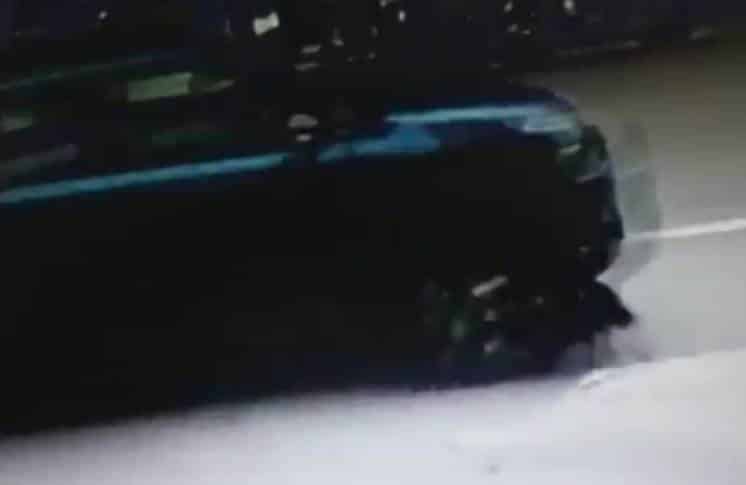 El descargo del hombre que atropelló al perro y huyó