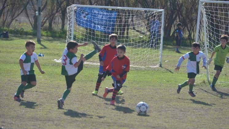 Descuento para clubes en la tarifa del servicio eléctrico