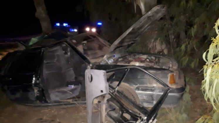 Impresionante accidente: chocaron contra un árbol y están internados