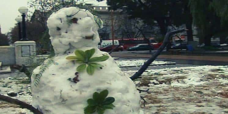 A 10 años de la gran nevada en Bahía Blanca