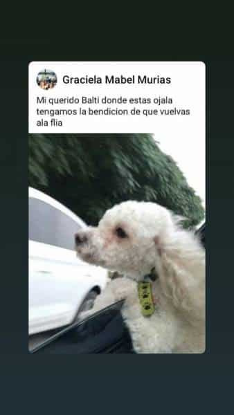 Buscamos a Balti