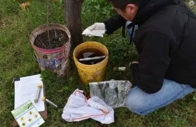 descacharrizacion