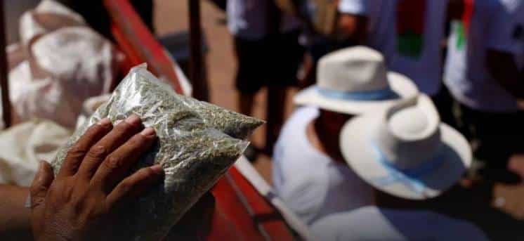 Aumenta la yerba mate: la materia prima subirá 32%