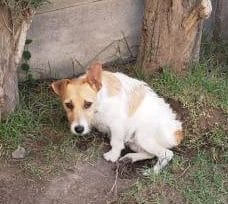 Buscamos a Jack