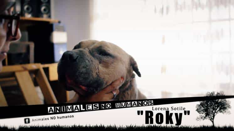 ROKY