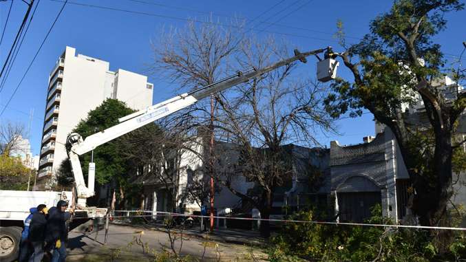 Corte de tránsito y modificación de recorrido de la línea 519A por intervención del arbolado