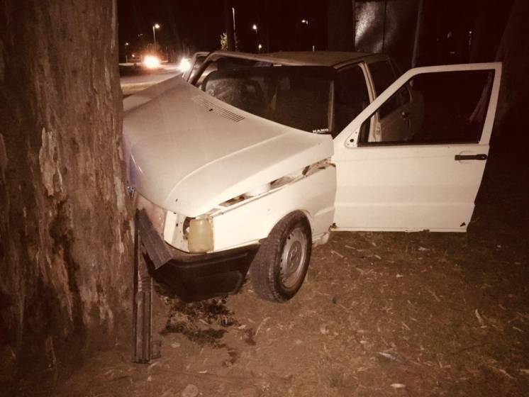 Chocó contra un árbol en el Parque de Mayo