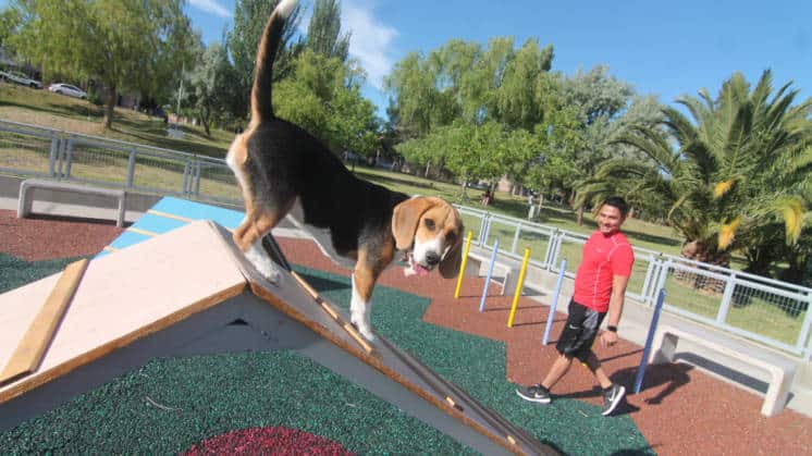 Los perros de Neuquén ya tienen su propia Plaza