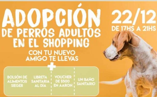 Campaña de adopción: “Para que un Josecito tenga un hogar”