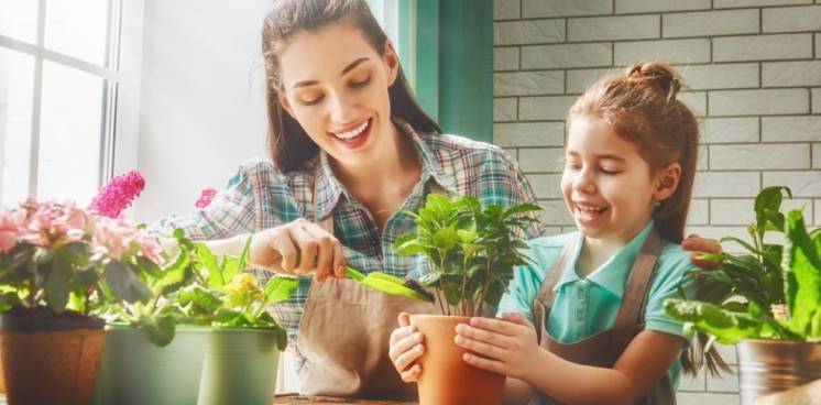 Terminan las clases: Ideas sin celular, actividades sencillas para compartir con los chicos en casa