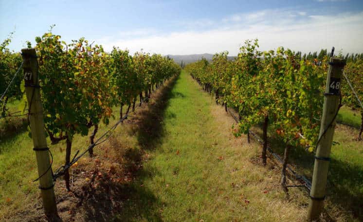 Bodegas de Saldungaray: Un recorrido por el proceso de elaboración