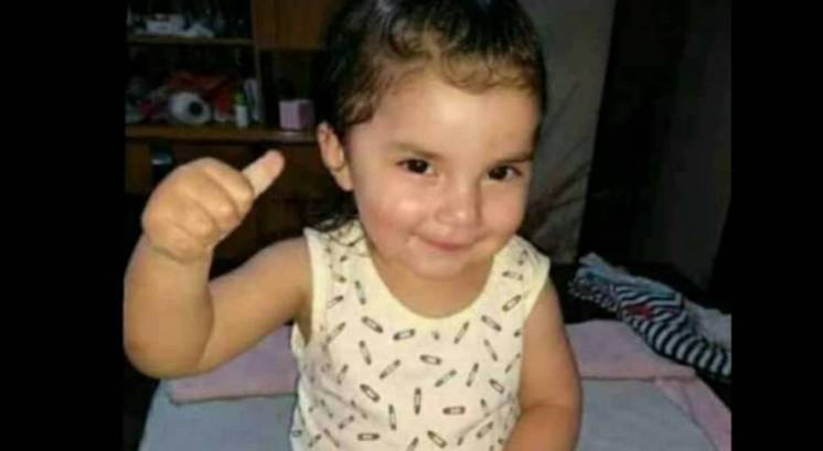 Dieron de alta a la nena mordida por una araña