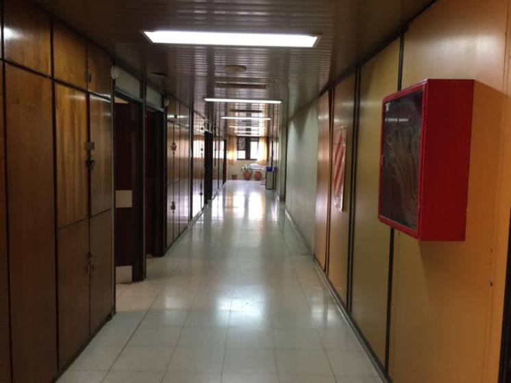 Buscan colaboradores para pintar la sala de maternidad del Hospital Penna