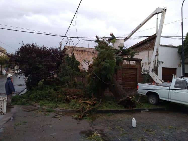 Temporal en el sur de la provincia de Buenos Aires: granizo y fuertes vientos en Puan y Pigüe