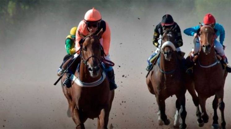 ¿Vuelven las carreras de caballos a Bahía? la postura de los organizadores