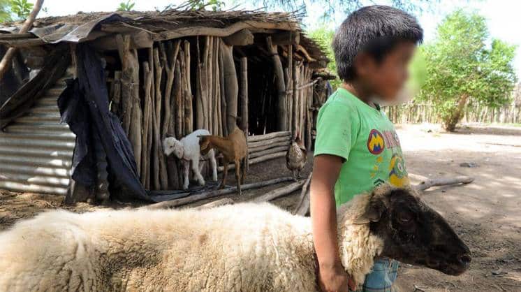 Al menos 32 niños wichí están internados en Salta por desnutrición
