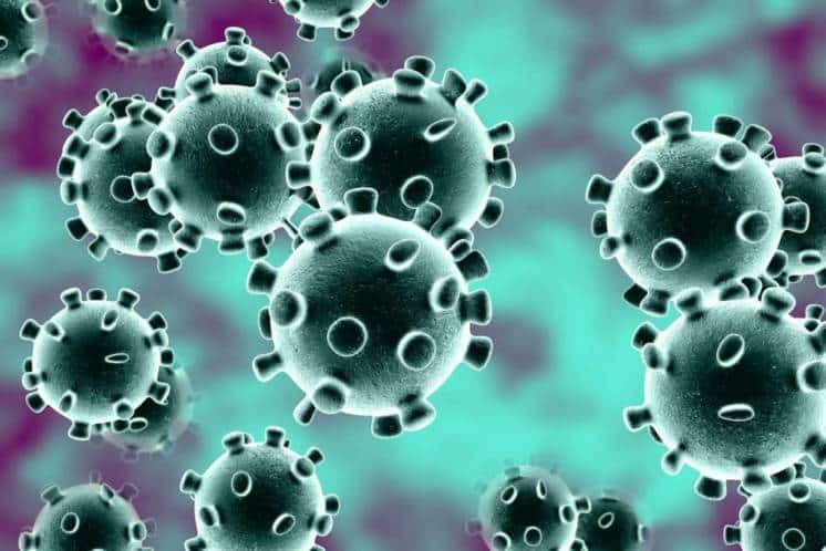 Coronavirus: 31 nuevos casos en el país