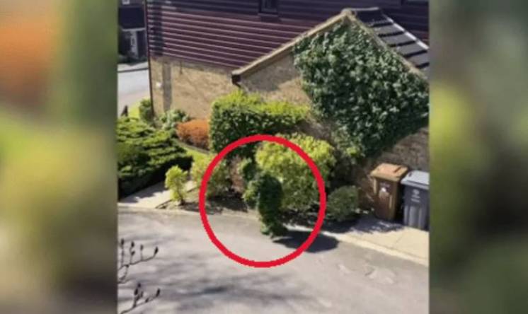 Es viral: camuflado quiso violar cuarentena