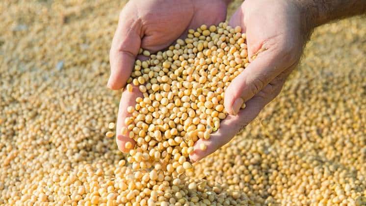 Programa de Incremento: exportadores liquidaron US$1.255 millones