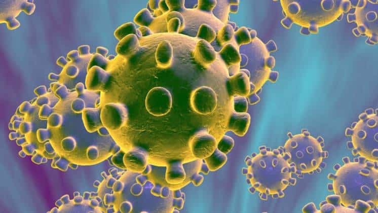 Comienzan a probar en humanos un fármaco que elimina el Coronvirus