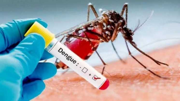 Dengue: estado de situación en la ciudad y otra campaña en barrios