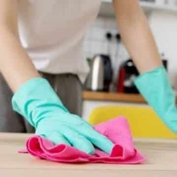 Conocé el protocolo de trabajo del servicio domestico en Bahía