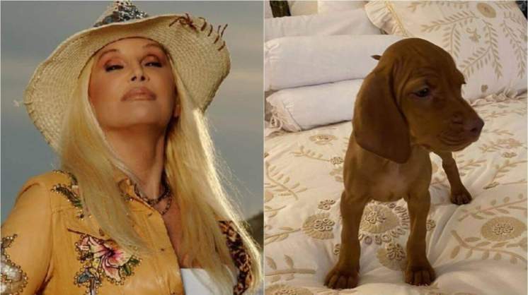 Susana Giménez se reencontró con Rita, la perrita que adoptó y tuvo que devolver