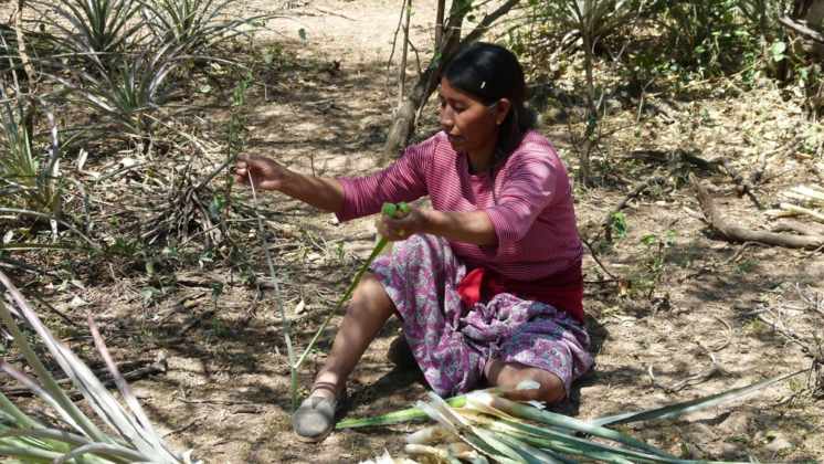 Un informe denuncia desigualdad estructural, violencia y racismo con los pueblos indígenas