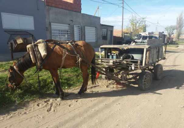 Volcó un carro tirado por un caballo
