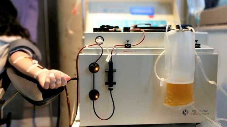 Donación de plasma: quién puede ser donante, qué implica y cómo es el procedimiento