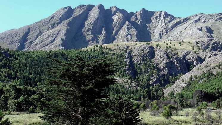 8 nuevos casos de Covid-19 en Tornquist y 2 en Sierra de la Ventana